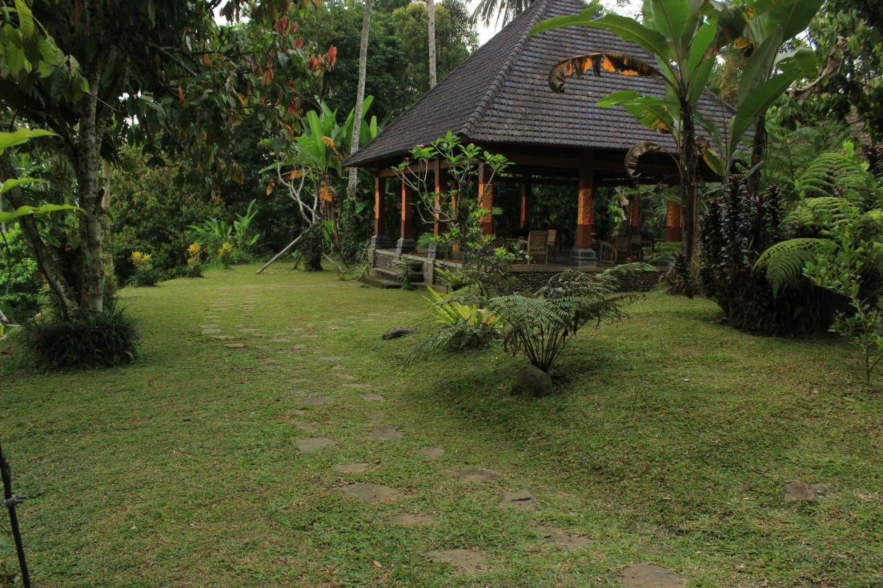 Saridevi Ecolodge Джатілувіг Екстер'єр фото
